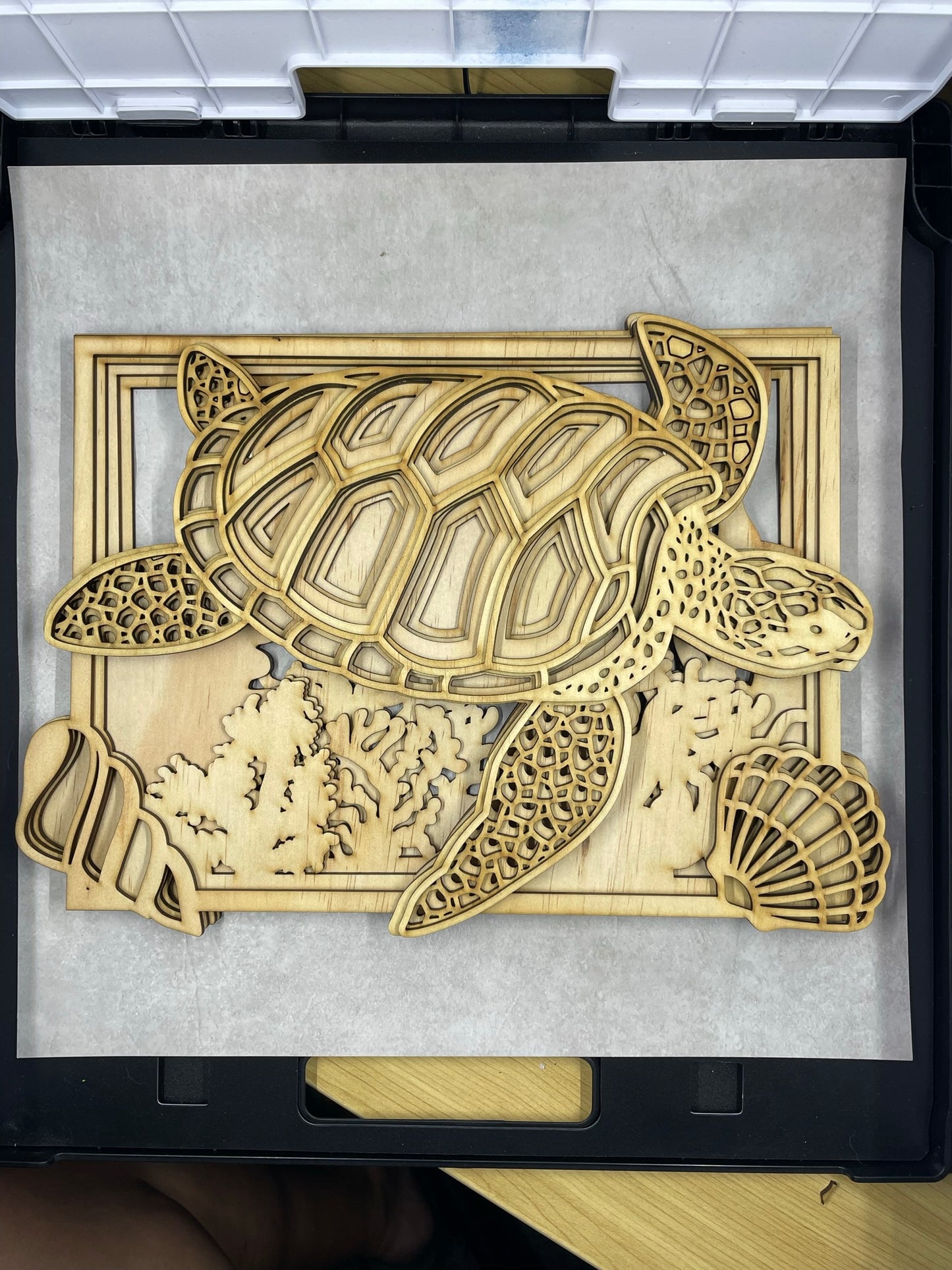 Deluxe DIY Craft Kit TURTLE WITH BACKGROUND layered | Australian home made